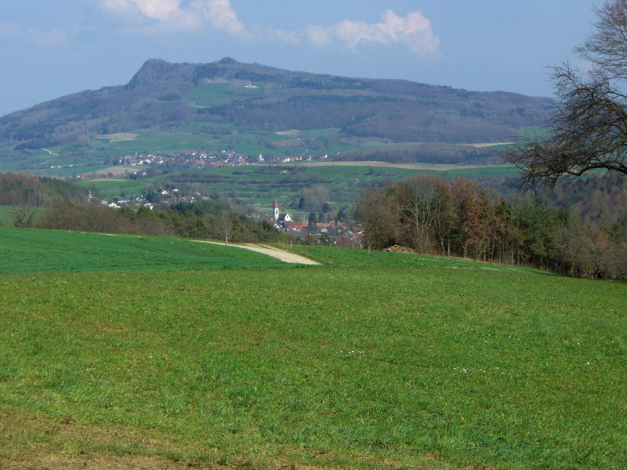 Hegauliebe * Tengen